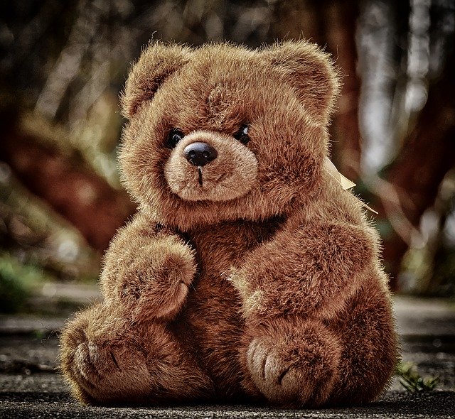 teddybär 2m